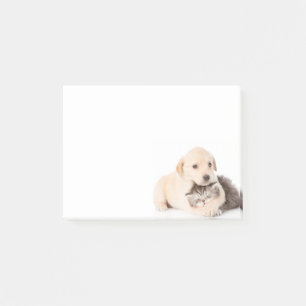 schattige kleine kattenslaapt in de handen van de post-it® notes