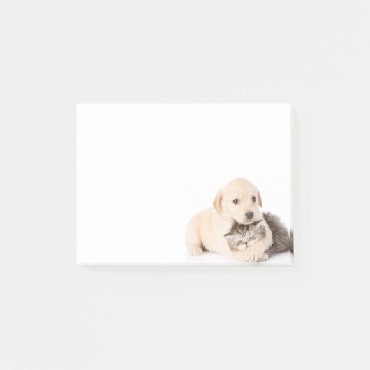 schattige kleine kattenslaapt in de handen van de  post-it® notes (Voorkant)