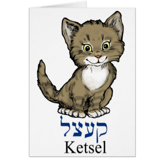schattige kleine kitten-"ketsel" in het Jiddisch