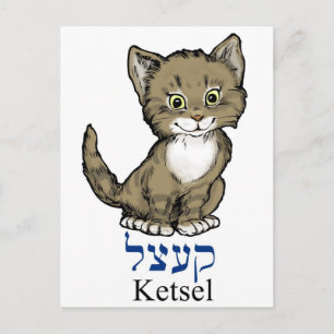 schattige kleine kitten-"ketsel" in het Jiddisch Briefkaart