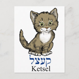 schattige kleine kitten-"ketsel" in het Jiddisch Briefkaart