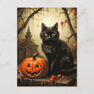 Schattige Kleine Kittige Heks Kat Gelukkig Hallo Briefkaart