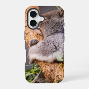 Schattige kleine koala iPhone 16 hoesje