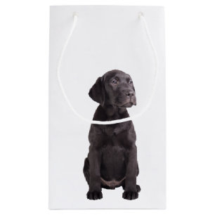 schattige kleine labrador rekwalvis klein cadeauzakje