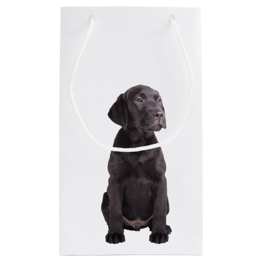 schattige kleine labrador rekwalvis klein cadeauzakje (Achterkant)