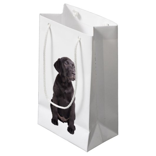 schattige kleine labrador rekwalvis klein cadeauzakje (Voorkant Gekanteld)
