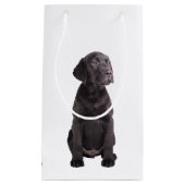 schattige kleine labrador rekwalvis klein cadeauzakje (Voorkant)