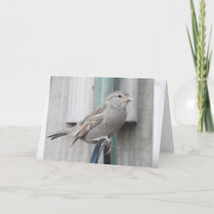 Schattige kleine mus op een vogelvoederbak kaart