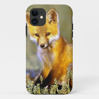 schattige kleine rode vogel Case-Mate iPhone case
