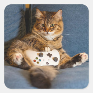 Schattige Kleine Tabbykat Gamer Kitty Vierkante Sticker