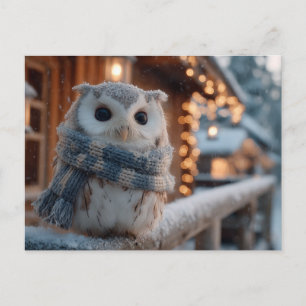Schattige kleine uil met gebreide winter sjaal  briefkaart