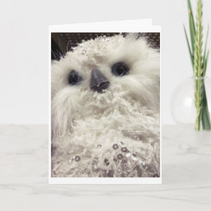 SCHATTIGE KLEINE UIL ZEGT *PRETTIG KERSTFEEST* KAART