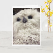 SCHATTIGE KLEINE UIL ZEGT *PRETTIG KERSTFEEST* KAART (Gele Bloem)