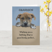 Schattige kleinzoon Verjaardag Kaart (Gele Bloem)