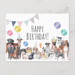 Schattige Kleurrijke Hond Gefeliciteerd Met Je Ver Briefkaart