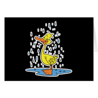 schattige kloofeend in de regen