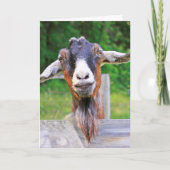 Schattige, knappe, hartelijke geiten kaart voor be (Voorkant)