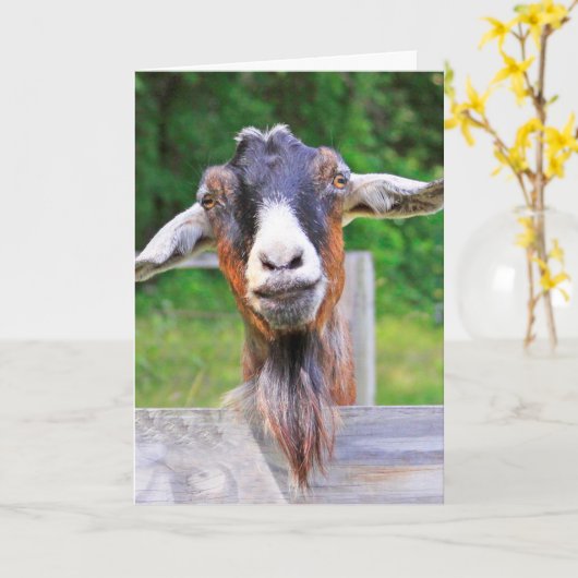 Schattige, knappe, hartelijke geiten kaart voor be (Gele Bloem)