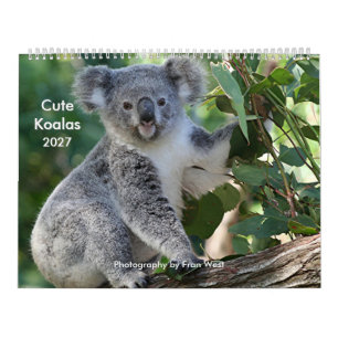 Schattige knuffel Koala Kalender 2027