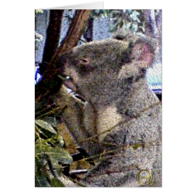 Schattige Koala (Voorkant)
