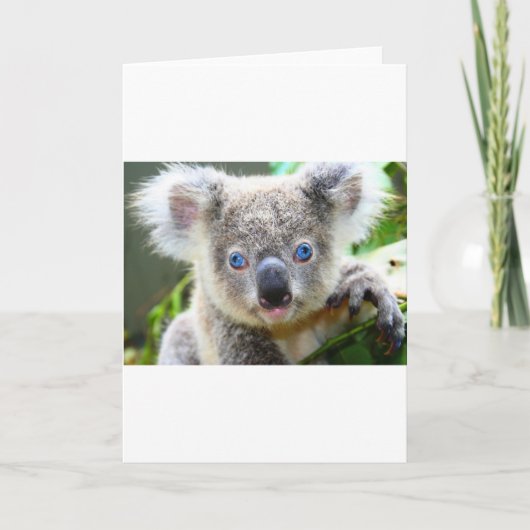 Schattige Koala Beer Bedankkaart (Voorkant)