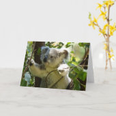 Schattige Koala Beer Bestemming Natuur Aussi Outba Kaart (Gele Bloem)
