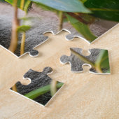 Schattige Koala Beer Legpuzzel (Zijkant)