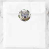 Schattige Koala Beer Ronde Sticker (Tas)