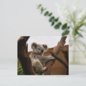 Schattige Koala Beer Rust in een Boom Briefkaart (Staand voorkant)