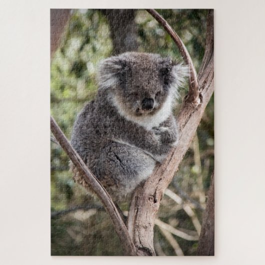 Schattige koala in boom legpuzzel (Verticaal)