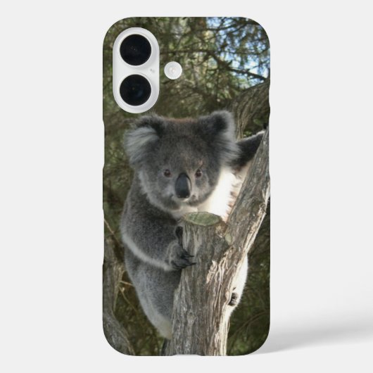 Schattige Koala Klimt in een Boom Case-Mate iPhone Case (Achterkant)