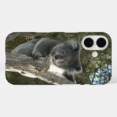 Schattige Koala Klimt in een Boom Case-Mate iPhone Case (Achterkant (horizontaal))