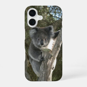 Schattige Koala Klimt in een Boom iPhone 16 Hoesje