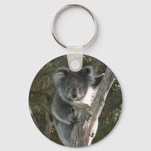 Schattige Koala Klimt in een Boom Sleutelhanger (Voorkant)