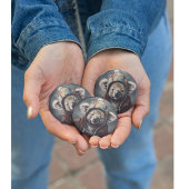 Schattige koala met schattig pet op maat ronde button 7,6 cm