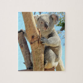 Schattige Koala Puzzle - Australische wilde dieren Legpuzzel