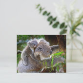 Schattige Koala's Briefkaart (Staand voorkant)