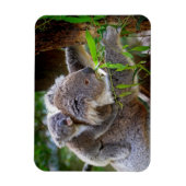 Schattige Koala's Magneet (Verticaal)