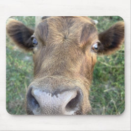 Schattige Koe wordt Nosey Muismat