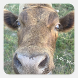 Schattige Koe wordt Nosey Sticker