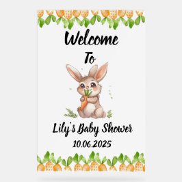 Schattige konijn acryl baby shower teken acryl bord