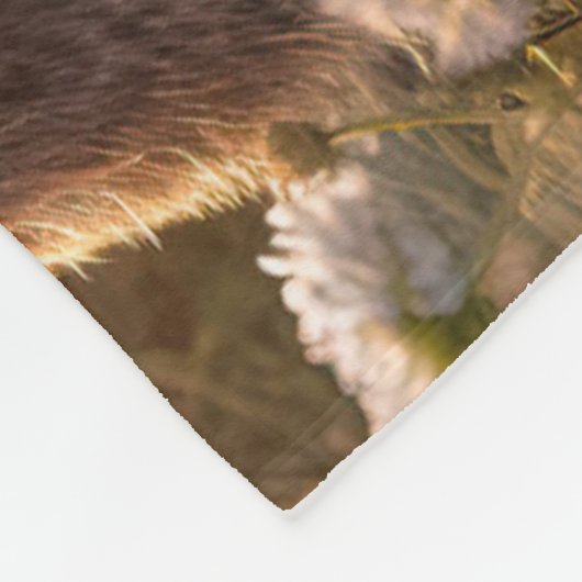 Schattige konijnen in Spring Meadow Design Fleece Deken (Hoek)