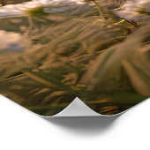 Schattige konijnen in Spring Meadow Design Poster (Hoek)