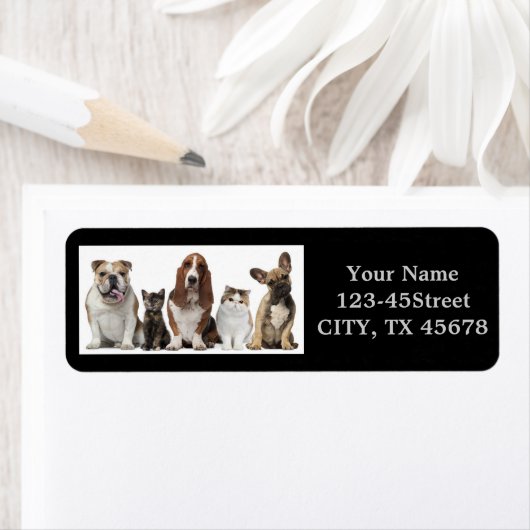 schattige korte haar kat vrienden vezel hond etiket (Insitu)