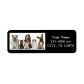 schattige korte haar kat vrienden vezel hond etiket (Voorkant)