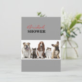 schattige korte haar kat vrienden vezel hond kaart (Staand voorkant)