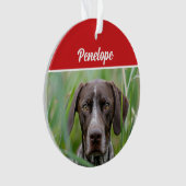 Schattige Kortharige Pointer Hond Vakantie Kerst F Ornament (voorkant)