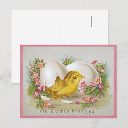 Schattige  Kuiken Happy Easter Bloemenei Briefkaart (Voorkant / Achterkant)