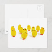 schattige kuikens briefkaart (Voorkant / Achterkant)