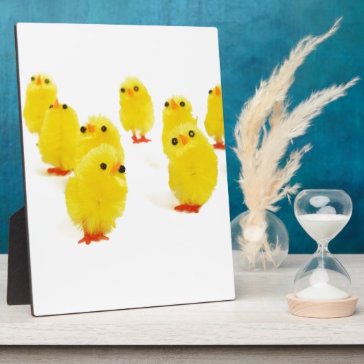 schattige kuikens fotoplaat (Zijkant)